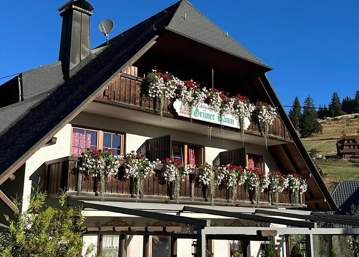 &Restaurant Grüner Baum - Die Grüne Oase Am